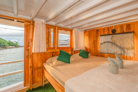 Komodo Dragon Expedition: 3D2N Private/Open Trip Liveaboard 3D2N Open Trip Private Room