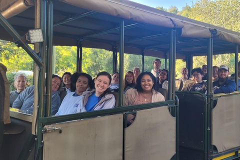 Cape Town: West Coast San Cultural Tour, entry fees & Meal