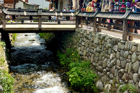 Von Krakau aus: Slowakische Baumkronenwanderung und Zakopane TourTour mit Abholung am Treffpunkt