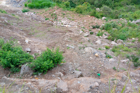 Da Nairobi: tour guidato di birdwatching