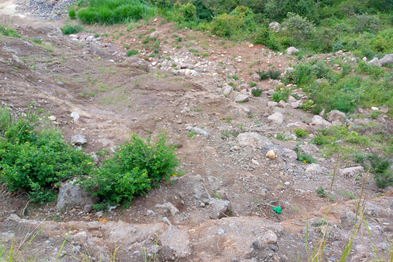 From Nairobi: Guided Bird Watching Tour