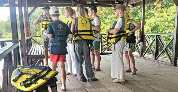 Mangrove discovery tour or fireflies tour