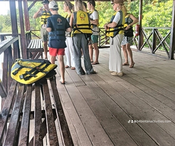 Mangrove discovery tour or fireflies tour