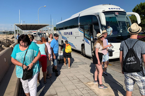 Mallorca: Dagtrip naar de grotten van Drach, het meer van Martel en de parelfabriekHalfdaagse tour