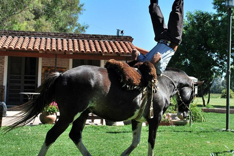 Private Tagestour zu einer argentinischen Estancia