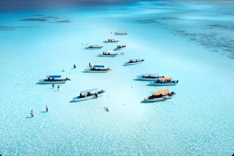 Mnemba Island: Delfiner och snorkling med gratis upphämtningDelad tur: Gratis upphämtning i Nungwi/Kendwa och Mnemba-avgifter