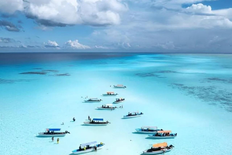 Mnemba Island: Delfiner och snorkling med gratis upphämtningDelad tur: Gratis upphämtning i Nungwi/Kendwa och Mnemba-avgifter