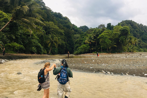 All in One: From Sirena to La Leona Corcovado Full Day Tour
