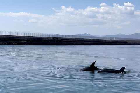 Cagliari: Devil's Saddle Boat Tour with Spritz and Chips