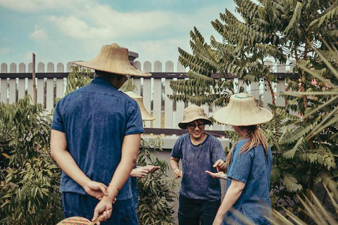 From Bangkok: Half Day Farm Tour w/ Thai Activities & Dinner Half Day Farm Stay Experience Without Transfer
