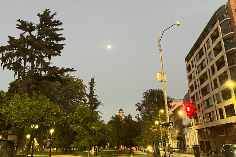 Santiago : Excursion au Pisco Sour