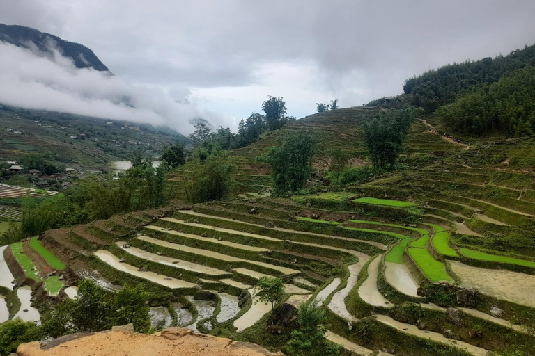 Sa Pa: Cat Cat Village Tour to Visit the Hmong People