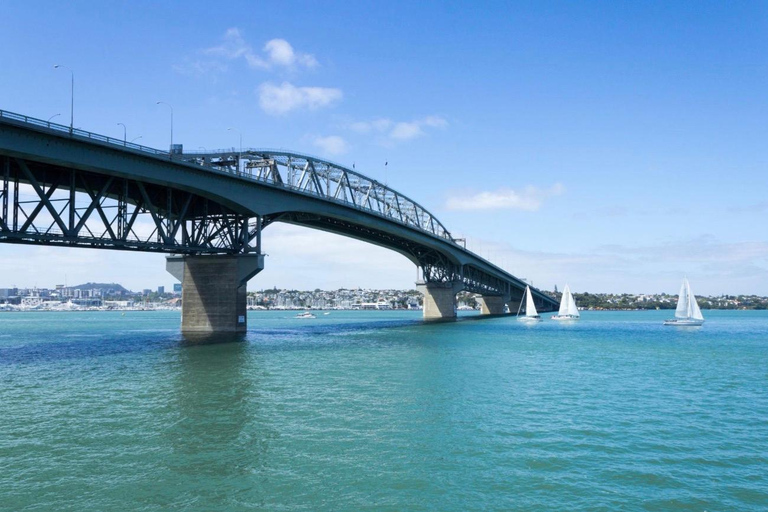 Auckland Harbour Lunch Cruise with Buffet Lunch