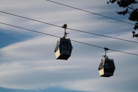 Tbilisi: Old Town Walking Tour with Wine & Boat Ride Options Private Tour