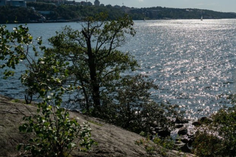 Stockholm Archipelago Guided Island Cruise With Craft Beer