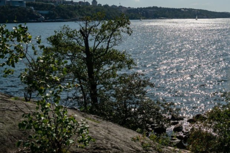 Stockholm Archipelago Guided Island Cruise With Craft Beer