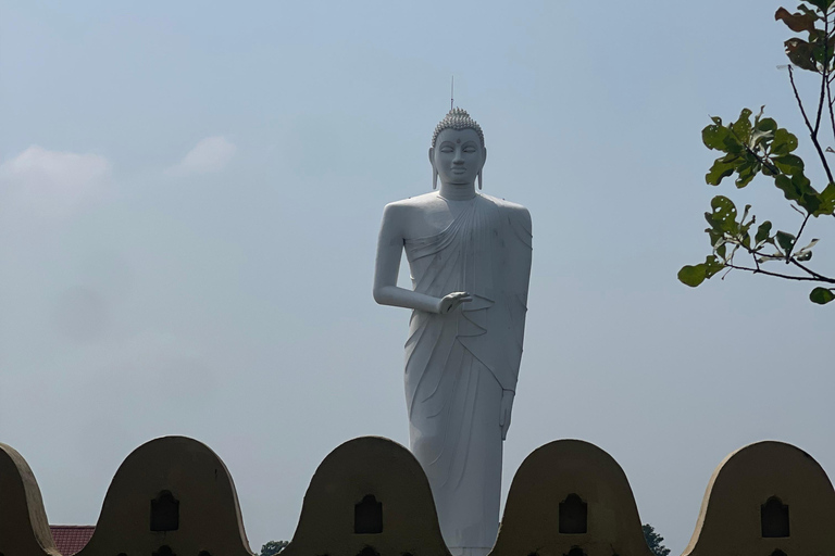 Sigiriya: Tuk Tuk Tours arund rock view points and city Tour
