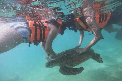 8 Tage Rundreise durch die wunderschöne Natur Sri Lankas