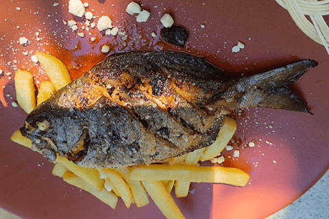 من مدينة أواكساكا: تجربة الغوص الحر في بويرتو إسكونديدو