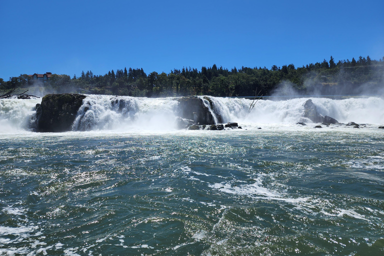 جولة نهرية خلابة لمدة ساعتين إلى شلالات ويلاميت