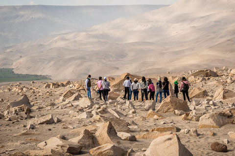 AREQUIPA: Petroglify martwego byka i ślady dinozaurów(Kopia) Petroglifos Toro Muerto y Huellas de Dinosaurios