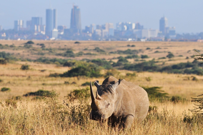 Wycieczka do Nairobi do Parku Narodowego, centrum słoni i żyraf.