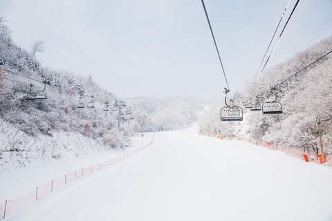 Elysian Ski Day Tour (Clothing+Ski gear+Basic Lessons+Lift) Depart From Myeongdong Station Exit 3