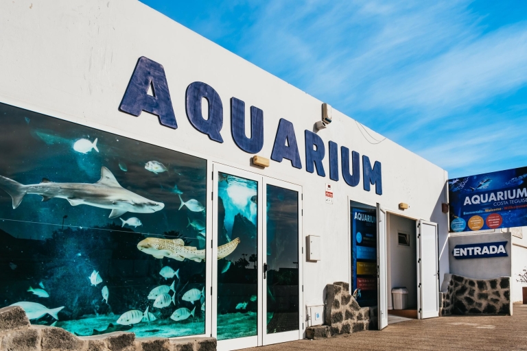 Lanzarote : billet d'entrée à l'aquarium