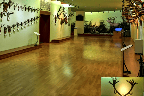 From Bucharest: Hunting Museum Posada with Tickets Included