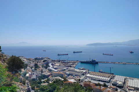 From Cadiz Bay: Gibraltar Day Trip with Rock Tour