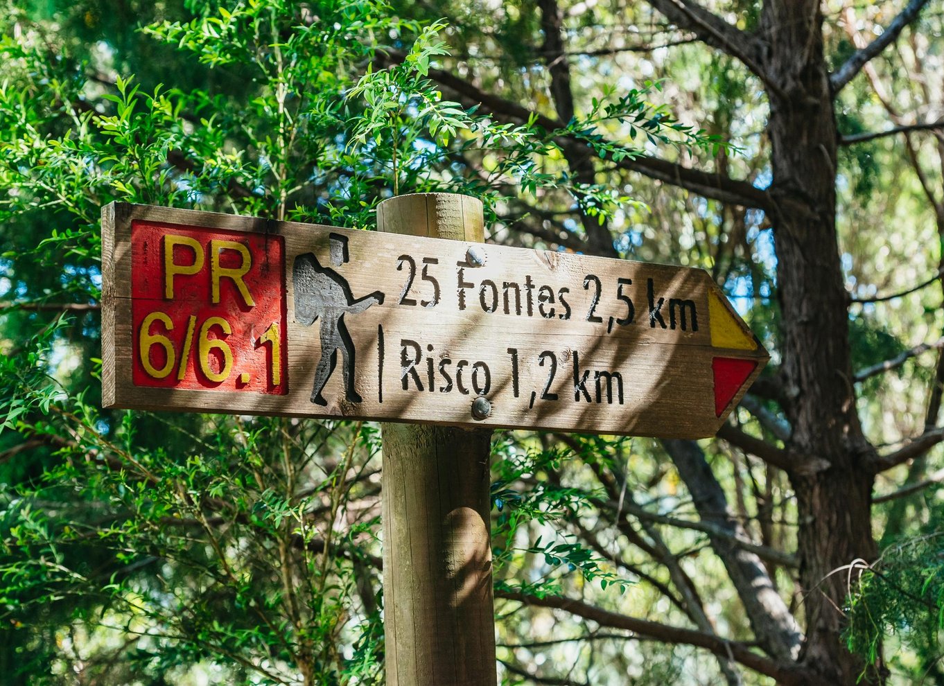 Madeira: Nyd en guidet gåtur i Levada i Rabaçal-dalen