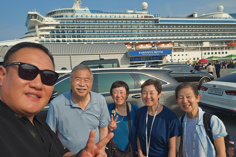 Busan: Private Shore Excursion with Licensed Local Guide