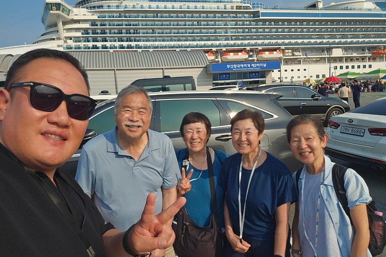 Busan: Private Shore Excursion with Licensed Local Guide