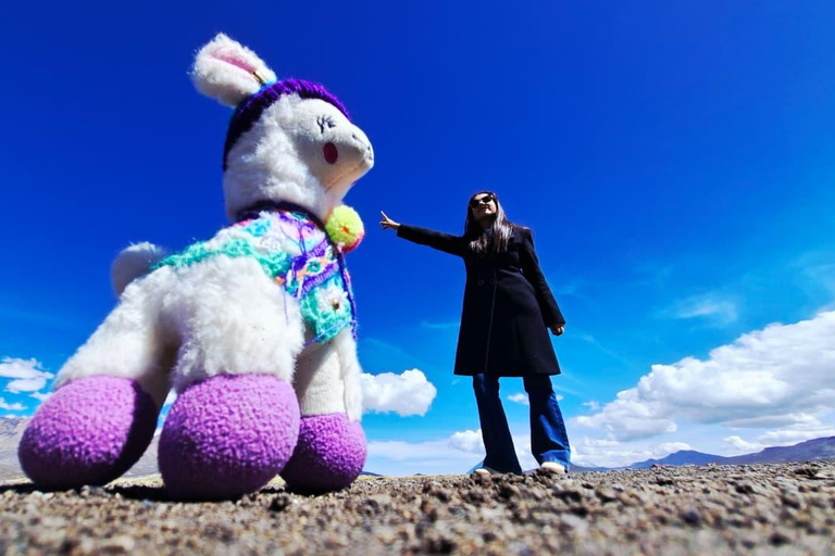 Arequipa: Salinas Lagoon, Flamingos, Vicuñas & ATV Adventure