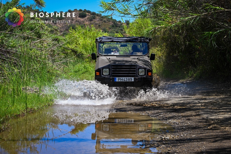 Algarve: Open 4x4 Jeep Tour, Alte, Natural Pools & Tastings