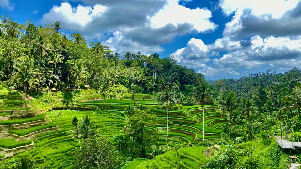 Excursi N Guiada A La Terraza De Arroz Cascada Y Templo De Ubud Bali