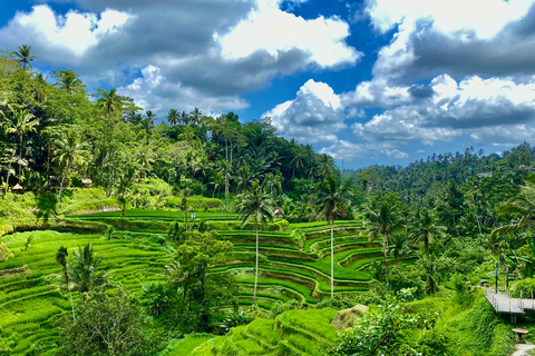 Ubud rice terrace, waterfall, and temple guided trip Bali