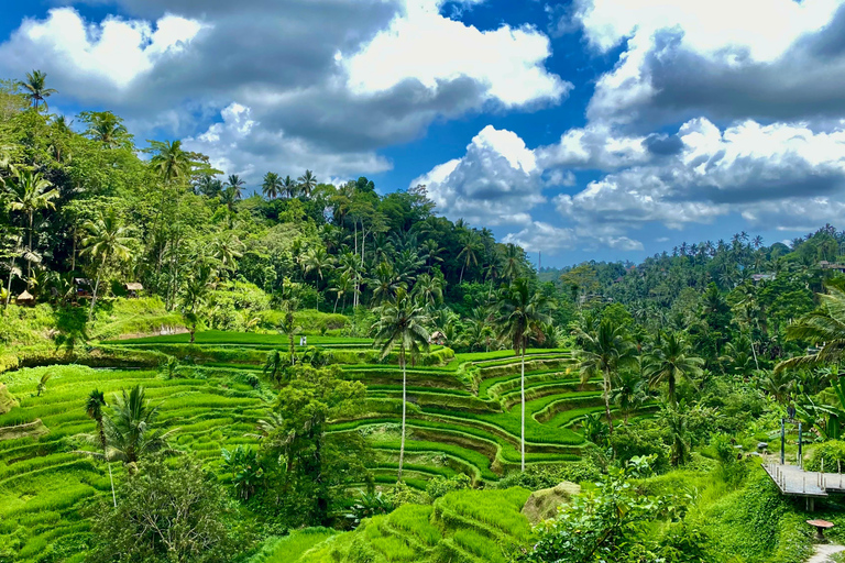 Ubud rice terrace, waterfall, and temple guided trip Bali