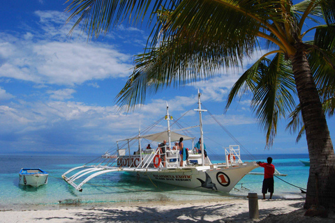 Cebu City: Malapascua Island Day Tour with Snorkeling