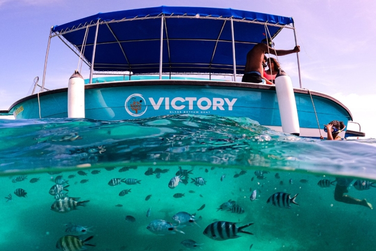 Mauritius: Besuch des BlueBay Glasbodenboots und SchnorchelnPrivate Tour