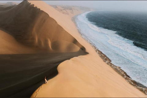 Doha: Westküste Katar &amp; Wüstensafari – private Tour, ganztägigDoha: Westküste von Katar &amp; Wüstensafari – private Tour, ganztägig