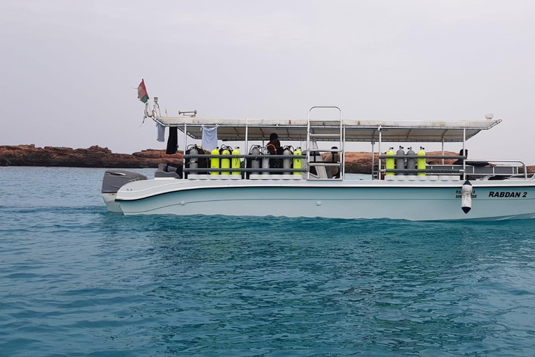 Voyage de plongée sous-marine dans les îles DimaniyatPlongée sous-marine dans les îles Dimaniyat