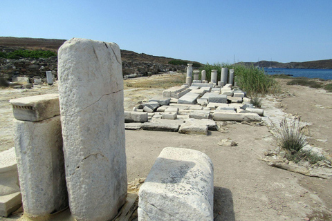 Delos: Única visita guiada de áudio ao sítio arqueológicoDelos: Somente tour guiado por áudio pelo sítio arqueológico