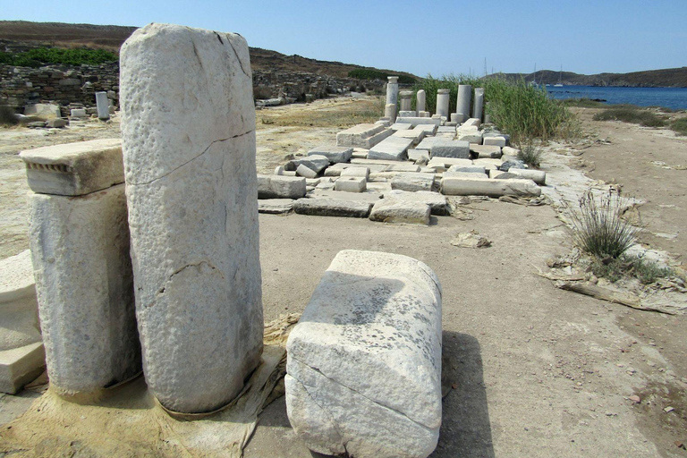 Delos: Única visita guiada de áudio ao sítio arqueológicoDelos: Somente tour guiado por áudio pelo sítio arqueológico