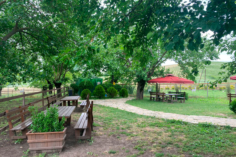 Alpaca farm in Shamakhi (Azerbaijan) 1 Day Standard