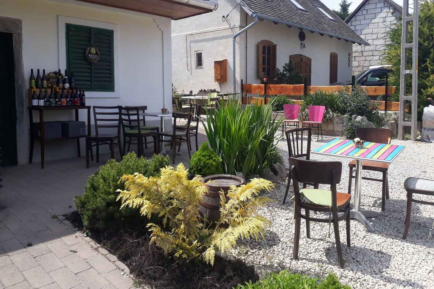 Close to Budapest:Wine Tasting in a Small Cozy Family Winery