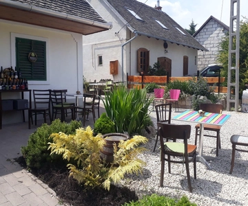 Close to Budapest:Wine Tasting in a Small Cozy Family Winery