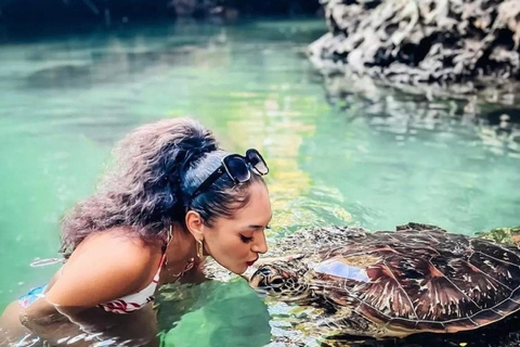 ZANZIBAR: Sea Turtles Swimming, Location Nungwi or Kizimkazi Salaam Cave Feeding & Swimming with and Sea Turtles