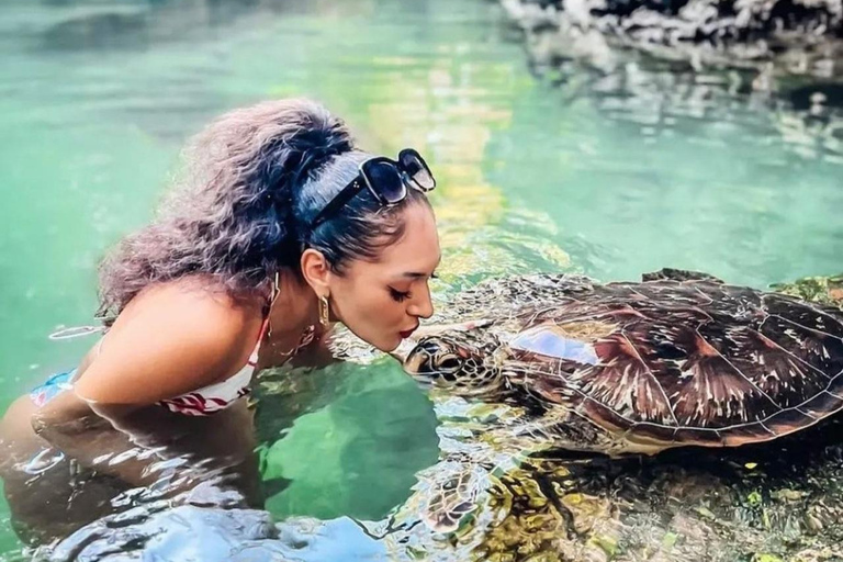 ZANZIBAR: Sea Turtles Swimming, Location Nungwi or Kizimkazi Salaam Cave Feeding & Swimming with and Sea Turtles