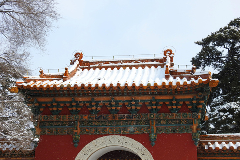 Forbidden City & Mutianyu Great Wall Tour w/ Multi-language Group Tour– Tickets, Guide & Fixed Meeting Point
